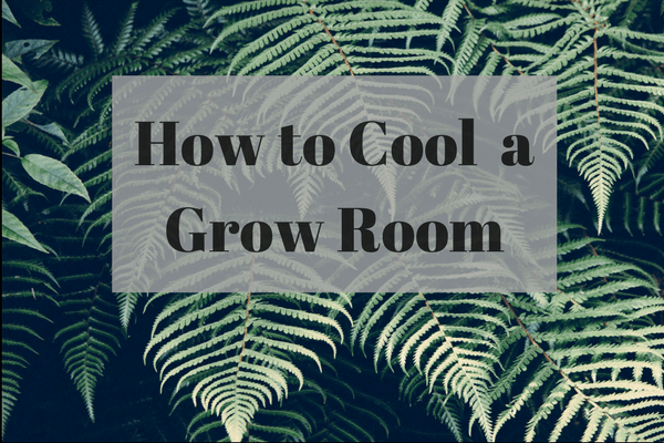 How to cool a grow room