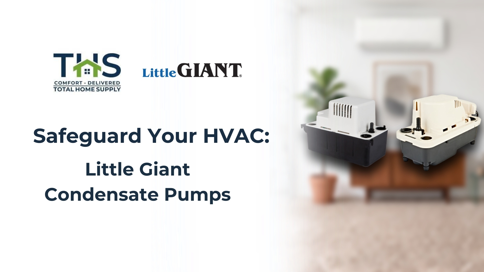 little giant condensate pumps